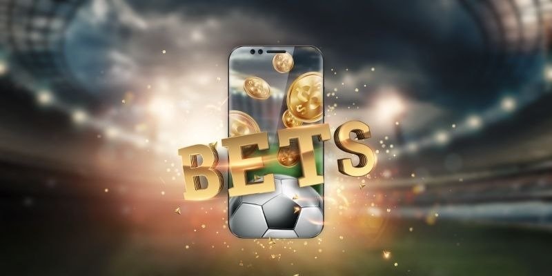 NOWGOAL Football Livescore brings pitch excitement directly to screens